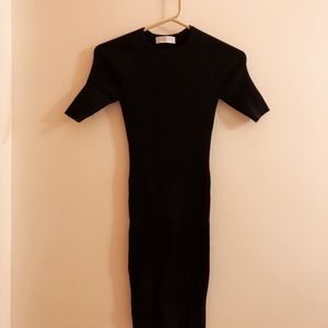 Everlane Bodycon Dress